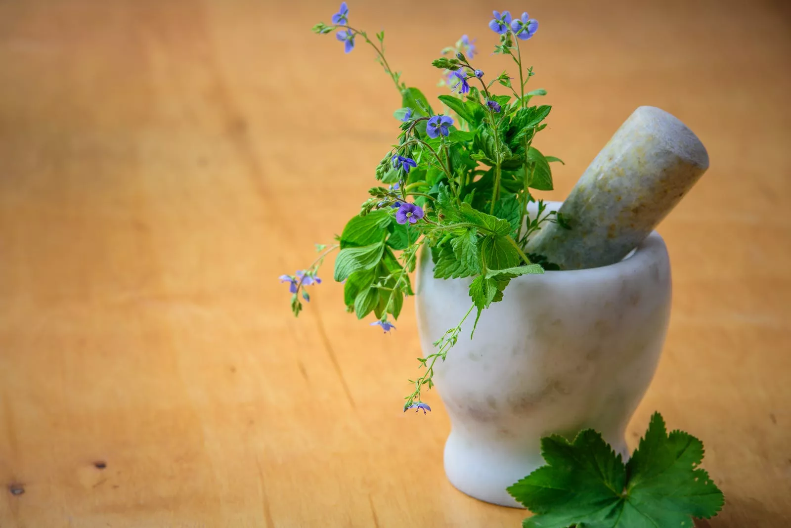 Discover the Benefits of Natural Medicine: Healing the Body the Natural Way