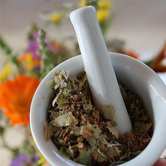 Unveiling the Science of Herbal Medicine: Exploring the Healing Properties of Plants