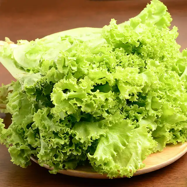 Alternative Types of Salads