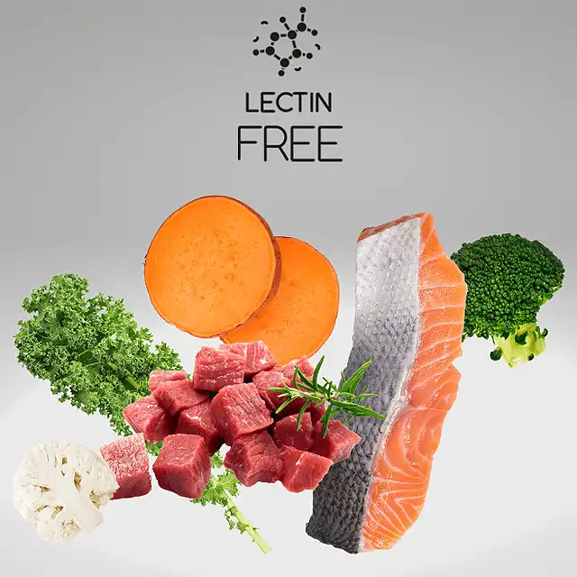 How to Stay Lectin-Free