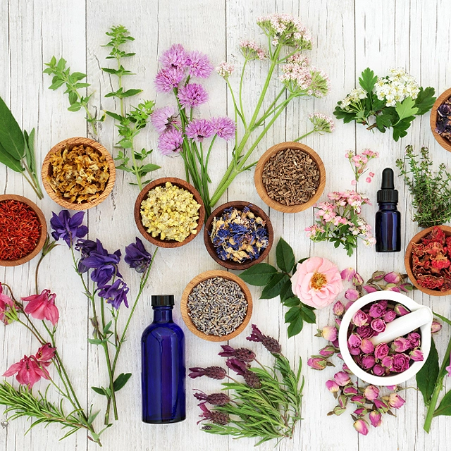 Exploring the World of Herbs : Unveiling the Power of Natural Remedies